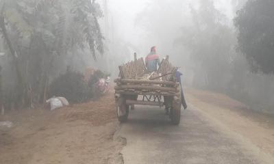 পঞ্চগড়ে তাপমাত্রা নামল ৬ .৮ ডিগ্রি সেলসিয়াসে