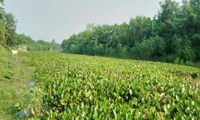 সাড়ে চার কোটি টাকা ব্যয়ে খননকৃত নদে পানি নেই