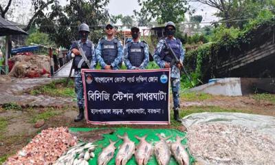 কোস্টগার্ডের অভিযানে অবৈধ জাল ও ট্রলারসহ ১৩ জেলে আটক