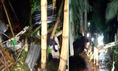 পীরগাছায় কালবৈশাখী ঝড়ে গাছচাপায় শিশুর মৃত্যু