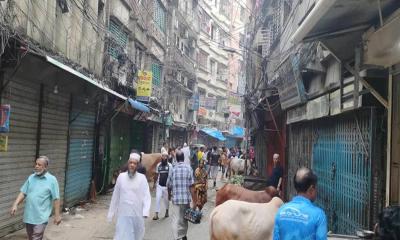 ঈদের দ্বিতীয় দিনেও পুরান ঢাকায় চলছে কোরবানি