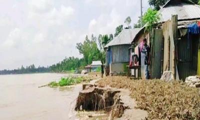 রাজারহাটে তিস্তার তীব্র ভাঙন