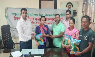 রাজস্থলীতে ৪০ জন কৃষকের মাঝে ভুট্টার বীজ বিতরণ
