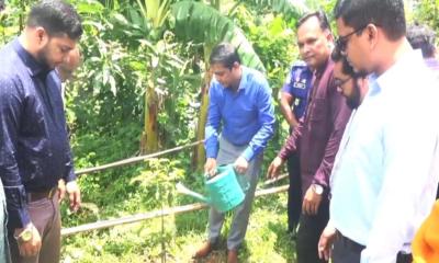 প্রাকৃতিক পরিবেশ সুরক্ষায় বৃক্ষ রোপণের বিকল্প নেই