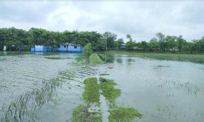 সরকারি খালে অবৈধ বাঁধ: ৭০০ একর জমি অনাবাদি, সহায়তা চেয়ে মানববন্ধন