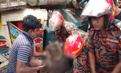 সিঙ্গাইরে ট্রাকচাপায় চালক নিহত