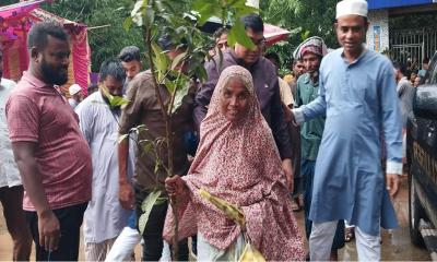 সাদুল্লাপুরে কৃষক দলের উদ্যোগে বিনামূল্যে গাছের চারা বিতরণ