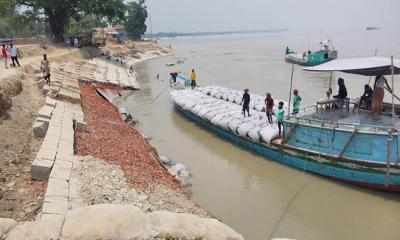 শাহজাদপুরে ফের যমুনার ভাঙন, আতঙ্কিত চরবাসী