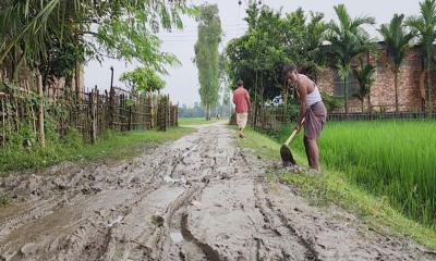 গাইবান্ধার রামচন্দ্রপুরে সড়কের বেহাল দশা; সামান্য বৃষ্টি হলেই সড়কে হাঁটু সমান কাদা!