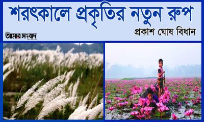 শরৎকালে প্রকৃতির নতুন রূপ