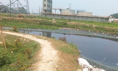 শিল্পকারখানার বর্জ্য গিলে খাচ্ছে শ্রীপুরের লবলং নদী