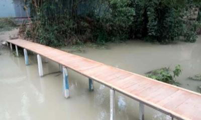 টাঙ্গাইলে স্বেচ্ছাশ্রমে সাঁকো নির্মাণ