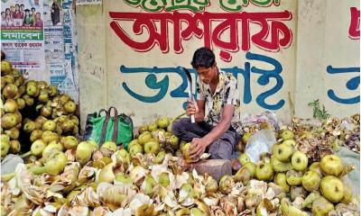 টাঙ্গাইলে ২ টাকার তালের শাঁস বিক্রি হচ্ছে ২৫-৩০ টাকায়