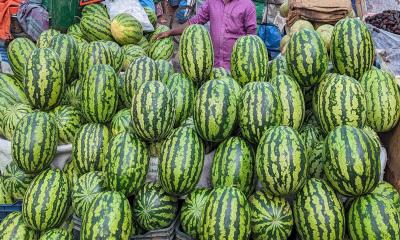 রাজধানীর পাঁচ স্থানে মিলবে ১০০ টাকায় তরমুজ