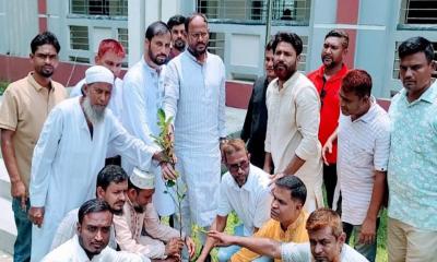 টাঙ্গাইলে পরিবেশ রক্ষায় সুলতান সালাউদ্দিন টুকুর বৃক্ষরোপণ