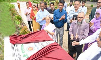 দেশীয় জাতের গবাদিপশু বিশ্বমানের পর্যায়ে উন্নীত করা সম্ভব