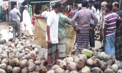 নারিকেলের দামে ঊর্ধ্বগতি