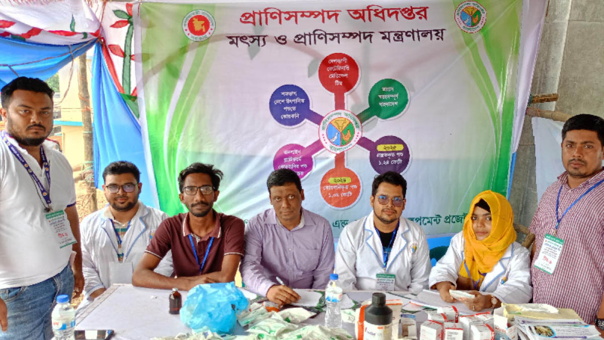 কোরবানির হাটে প্রথমবারের মতো বাকৃবি শিক্ষার্থীদের ভেটেরিনারি সেবা