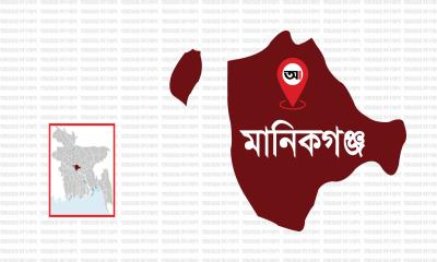 সিংগাইরে ডাকাতির সময় গরুর মালিককে পিটিয়ে হত্যা, ৪টি গরু লুট