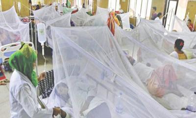 ডেঙ্গুতে একদিনে ১২ জনের মৃত্যু