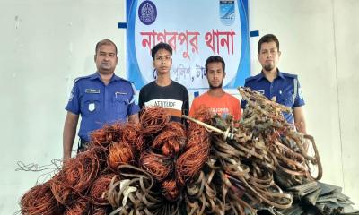 নাগরপুরে বিদ্যুৎ সরঞ্জাম চুরির চক্রের ২ সদস্য গ্রেপ্তার