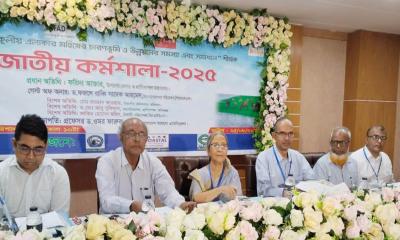 ইলিশ উৎপাদন কমলেও ব্যবস্থা নেওয়া হচ্ছে