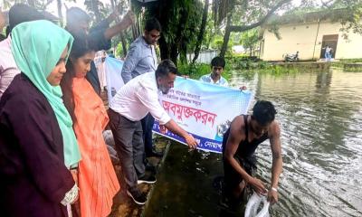 কোম্পানীগঞ্জে ১৫ জলাশয়ে ৩৪২ কেজি মাছের পোনা অবমুক্ত