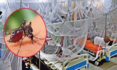 ডেঙ্গুতে একদিনে বছরের সর্বোচ্চ মৃত্যু