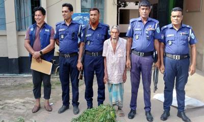 রোদে গাঁজা শুকাতে দিয়ে আটক বৃদ্ধ