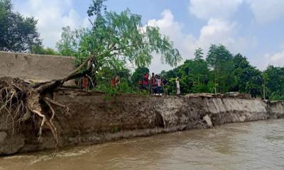 গোদাগাড়ীতে পদ্মার ভাঙনে সব হারিয়ে দিশেহারা মানুষ