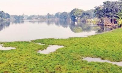 গোদাগাড়ীতে সাড়ে ৪০০ খাস পুকুরের রিট বাতিল, সরকার পাবে কোটি টাকার রাজস্ব