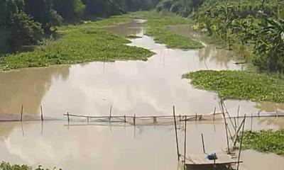 ইউএনওর হস্তক্ষেপে খোকসা হাওর নদীর বাঁধ উদ্ধার