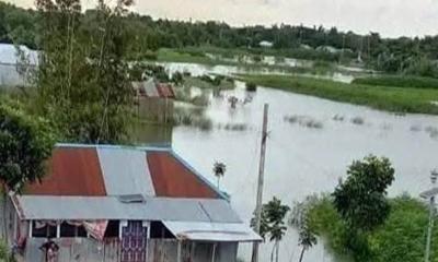 কুষ্টিয়ায় বন্যায় ১ হাজার ২৯৮ হেক্টর জমির ফসল নষ্ট