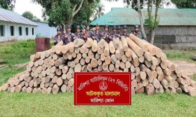 বাঘাইছড়িতে বিজিবির অভিযানে ৪ লক্ষাধিক টাকার অবৈধ সেগুন কাঠ জব্দ