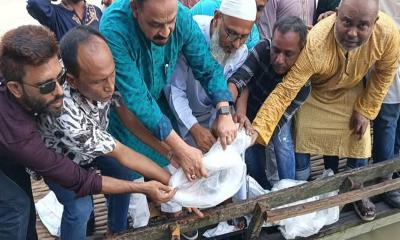 খালেদা জিয়ার জন্মদিনে ময়মনসিংহে মাসব্যাপী মৎস্য অবমুক্তকরণ কর্মসূচি শুরু