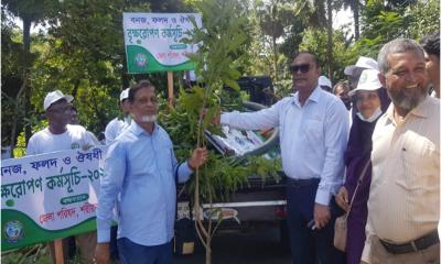 শরীয়তপুরে পরিবেশের ভারসাম্য রক্ষার্থে জেলা পরিষদের বৃক্ষরোপণ কর্মসূচি