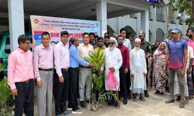 সন্দ্বীপে জলবায়ু পরিবর্তনের প্রভাব মোকাবেলায় ৩০০০ বনজ ও ফলজ চারা বিতরণ