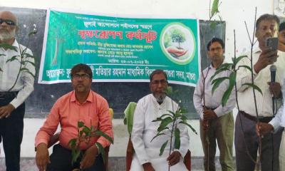 ফুলবাড়ী মাধ্যমিক বিদ্যালয়ে বর্ণাঢ্য আয়োজন, শহীদদের স্মরণে বৃক্ষরোপণ
