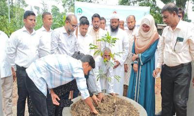 ফেনীতে শহীদ জুলাই যোদ্ধাদের স্মরণে বৃক্ষরোপণ