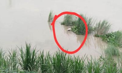 তুরাগ নদীতে অজ্ঞাত ব্যক্তির মরদেহ উদ্ধার