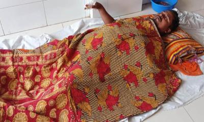 লোহাগড়ায় স্বামীর পুরুষাঙ্গ কাটার অভিযোগে স্ত্রী আটক
