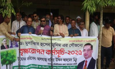 বড়লেখায় যুক্তরাজ্য বিএনপির উপদেষ্টা ড. মুদাব্বিরের অর্থায়নে বৃক্ষরোপণ