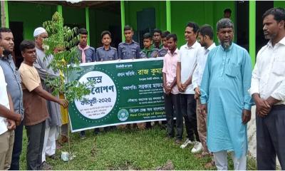সুন্দরগঞ্জে আরসিবির সহস্র বৃক্ষরোপণ কর্মসূচি শুরু