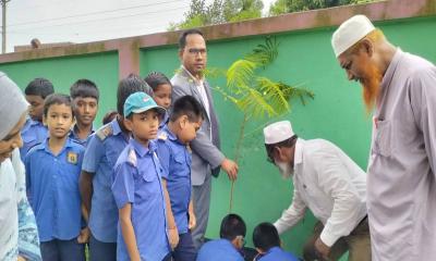 পরিবেশ সচেতনতায় গাছ লাগানোর গুরুত্ব তুলে ধরলেন মধুপুরের ইউএনও