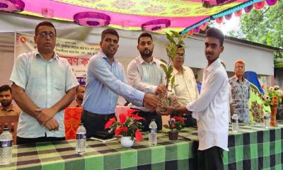 ভেড়ামারায় শিক্ষার্থীদের মাঝে চারা বিতরণ কর্মসূচি