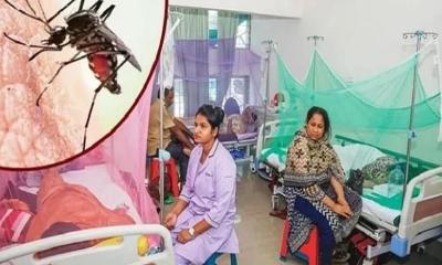 একদিনে রেকর্ড ডেঙ্গু শনাক্ত, হাসপাতালে ৪২৯ রোগী