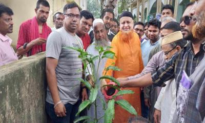 নাগরপুরে ৩১ দফা প্রচারে বিএনপির লিফলেট বিতরণ ও বৃক্ষরোপণ কর্মসূচি