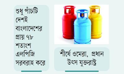 এলপিজি বাজারে চার কোম্পানির দাপট
