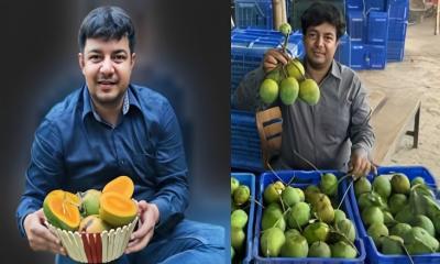 ভুয়া অর্ডার দিয়ে বেশি হয়রানি করেছে জামায়াতের ভাইয়েরা