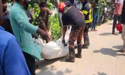 পানির পাম্পের ভ্যান পাইপে ওড়না পেঁচিয়ে প্রাণ গেল নারীর